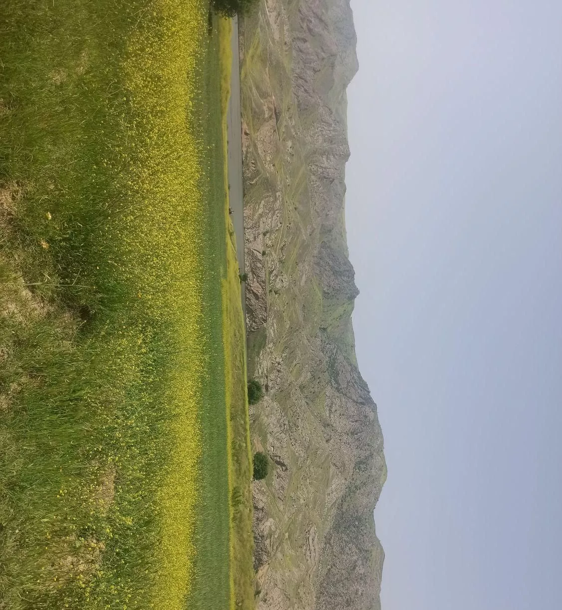 زمین خمارلو کنار دریاچه کفشن لاریجان