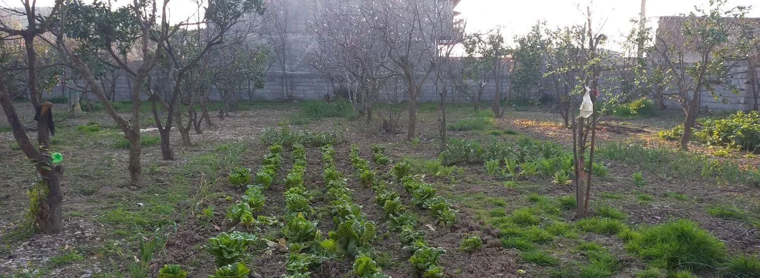 زمین باغی دربافت روستای سیدمیران