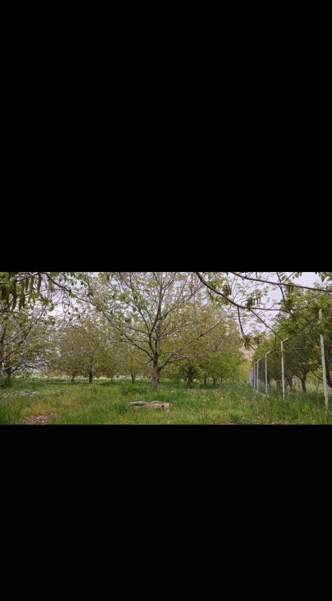 سه قطعه باغ درگل گورچک  به مساحت ۱۰۰۰و۱۵۰۰متری