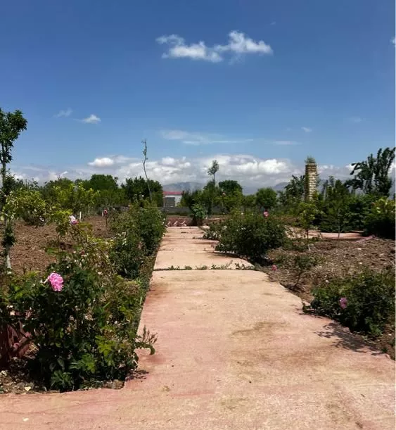 ۱۰۰۰ متر باغ در احمد اباد مصدق