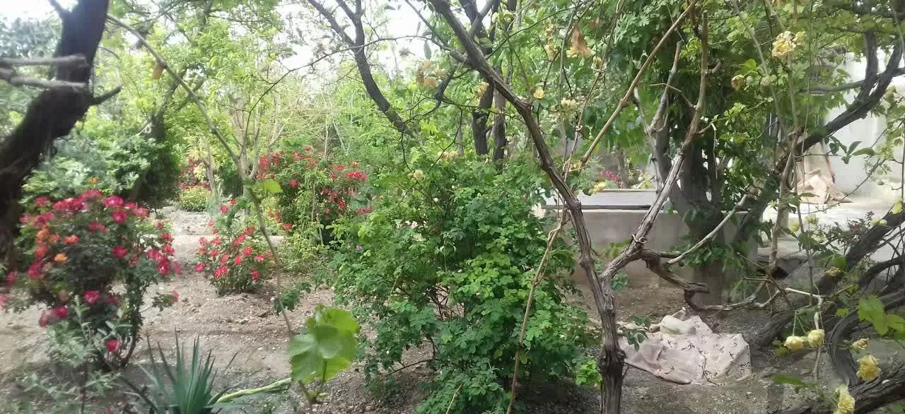 باغ ناژوان پر درخت با اتاق و امکانات