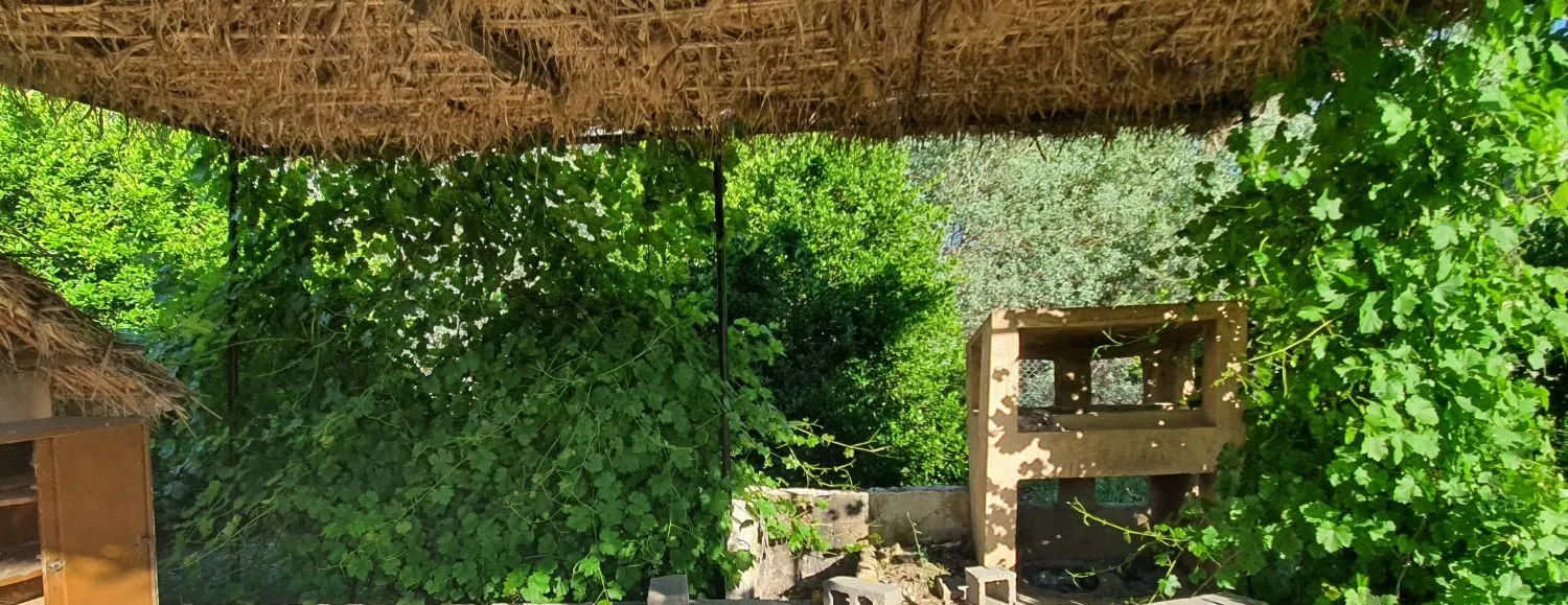 باغ مرکبات وزمین مسکونی روستای بیدستان پشتکوه باشت