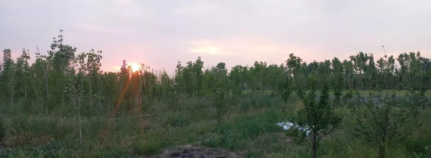 ۲۵۰ متر زمین کشاورزی باغچه ای شهرری ورامین