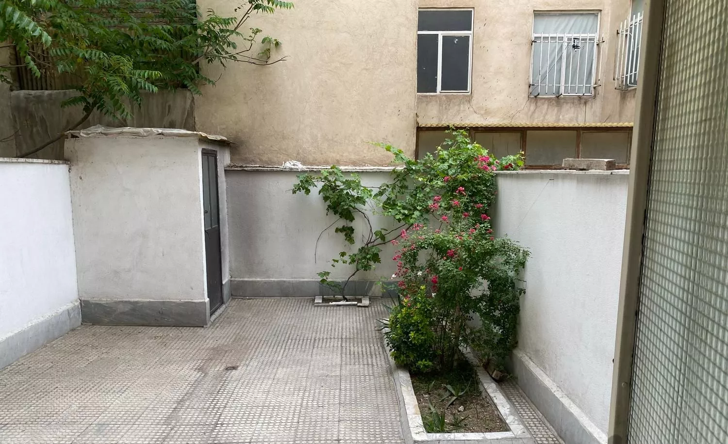 آپارتمان اجاره تخلیه حیاط دار همکف