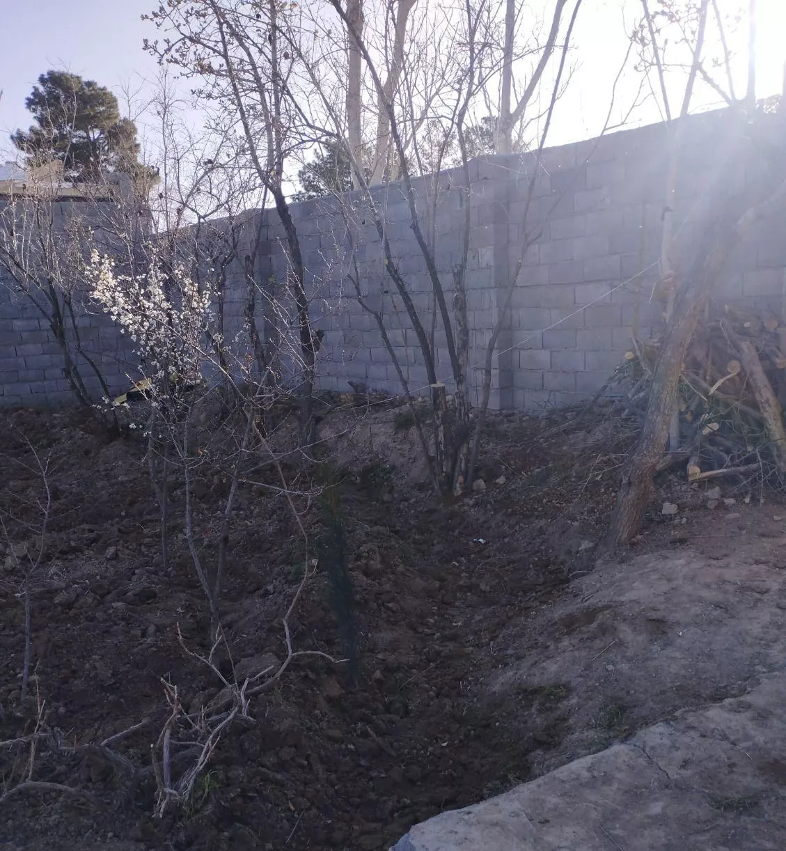 باغ چهار دیواری با مجوز واقع در زازران
