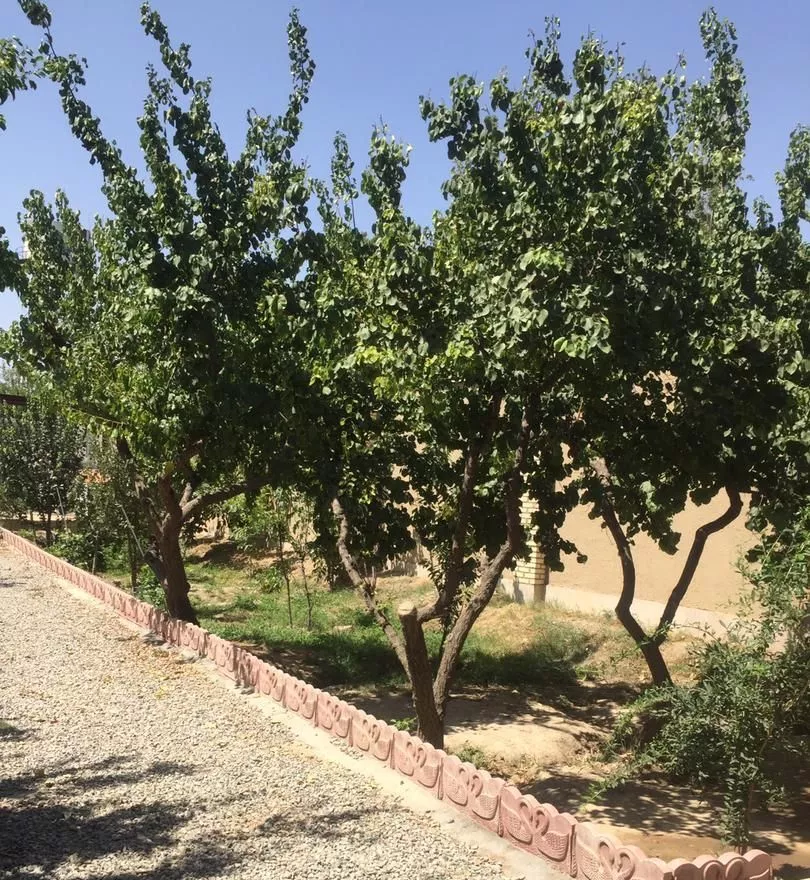 ویلا باغ در ملارد شهریار