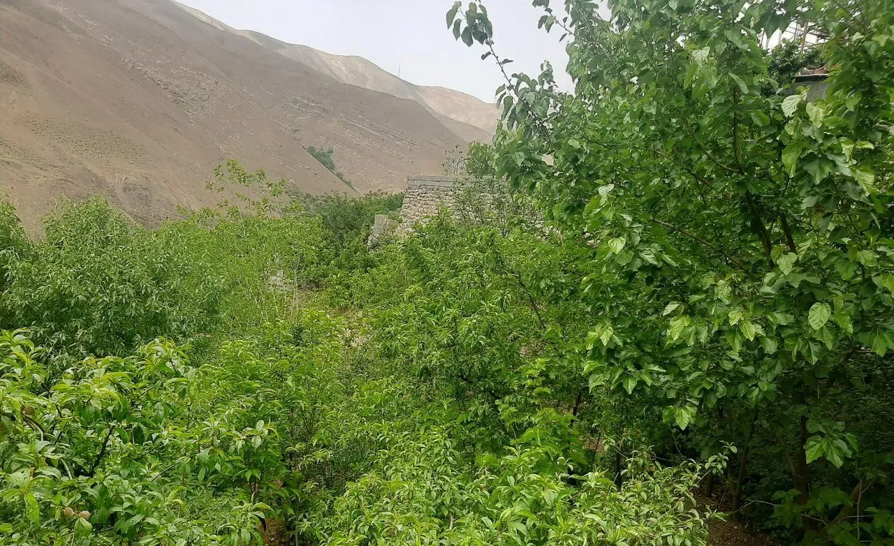 باغ سولقان روستای کشار بالا