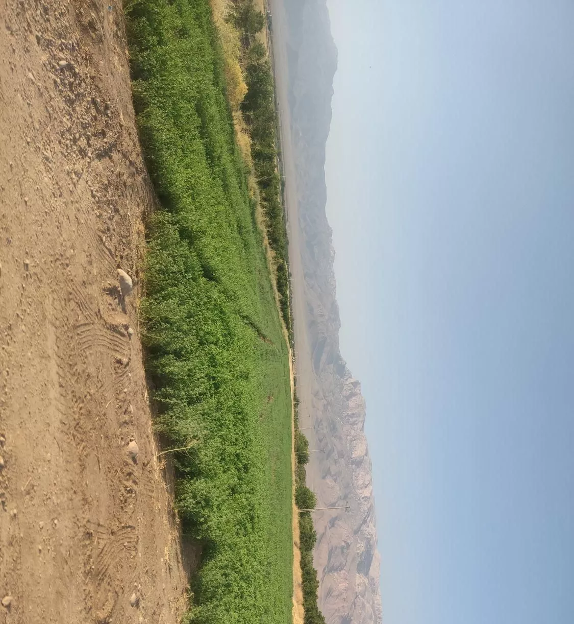 5هکتاری زمین کشاورزی مرغوب شهر ستان آباده طشک