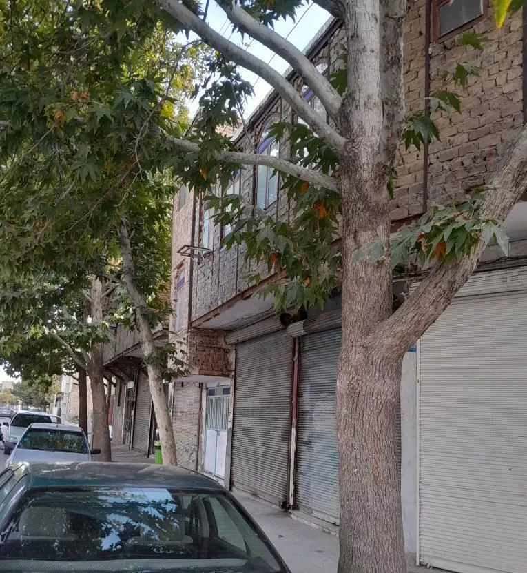 آپارتمان مستقل بهمراه  مغازه تجاری خیابان حاج طوسی