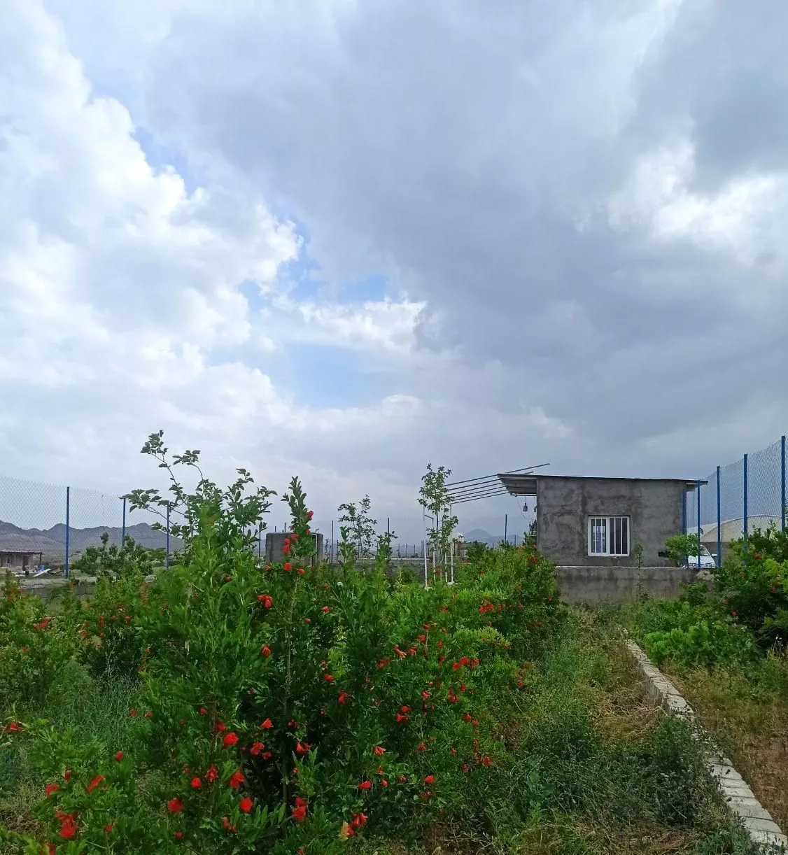 باغچه در خلج آباد