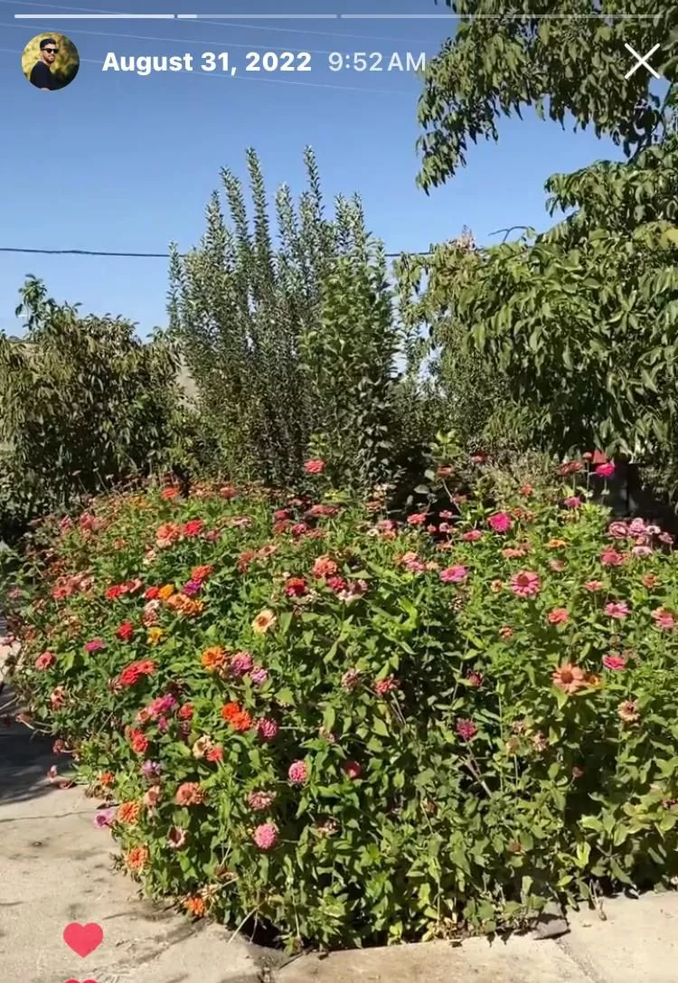 خونه باغ در استان لرستان شهرستان الشتر