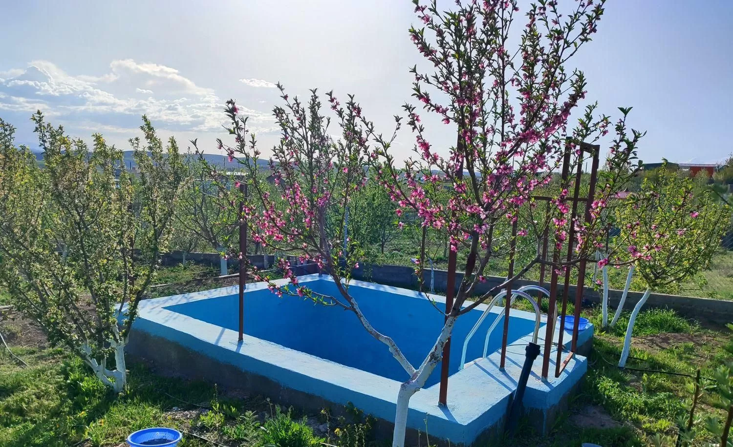 باغ میوه با سیستم آبیاری مجهز ومنحصربفرد