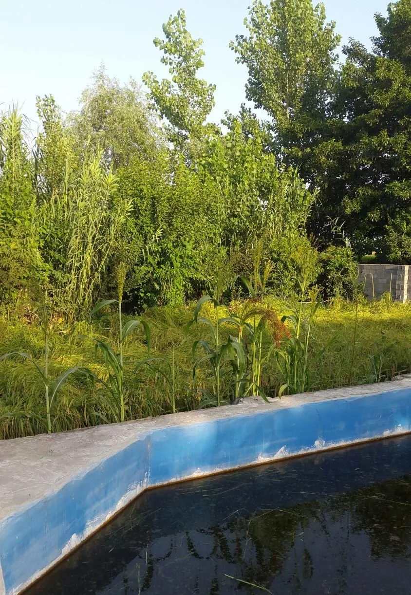 خونه باغ1000متری کامل بافت استخردار