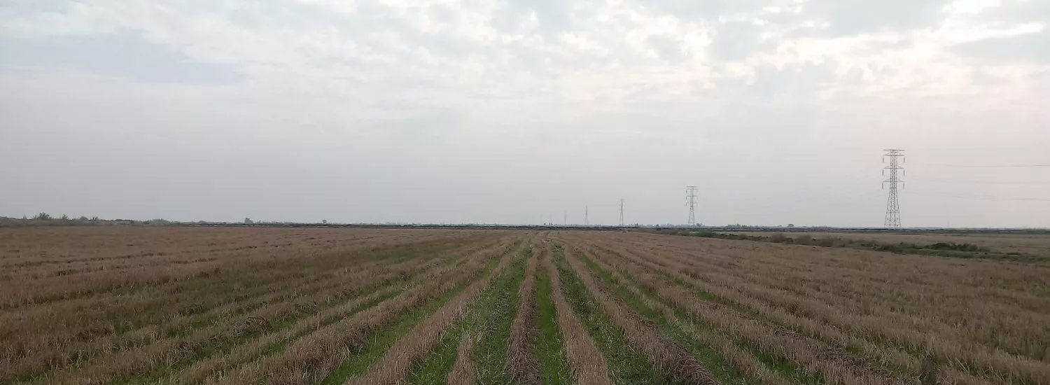 زمین کشاورزی ۴هکتار واقع در عبدالخان بخش خیراباددا