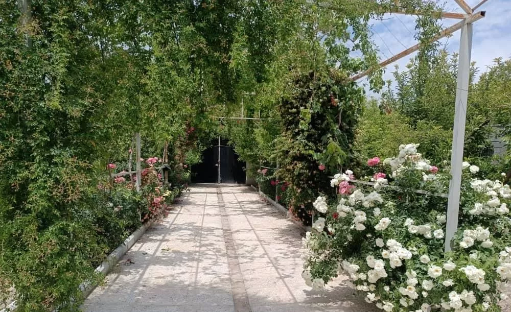 باغ در فرخ آباد