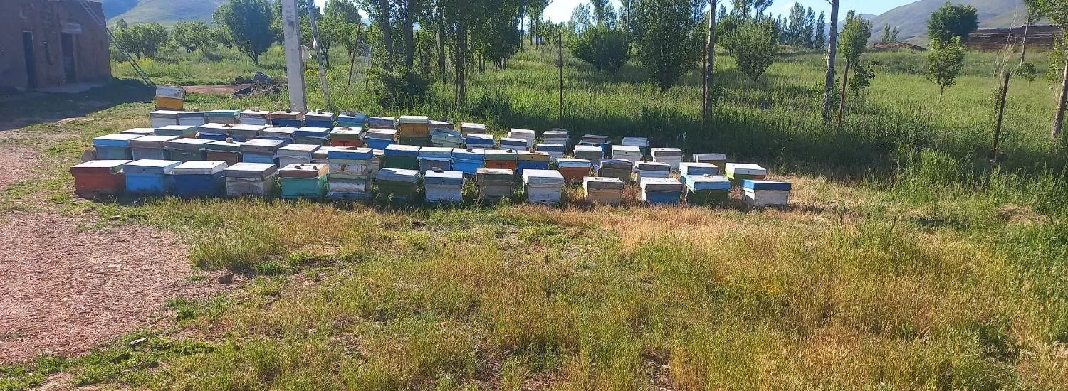 اجاره زمین کشاورزی ب زنبوردلر