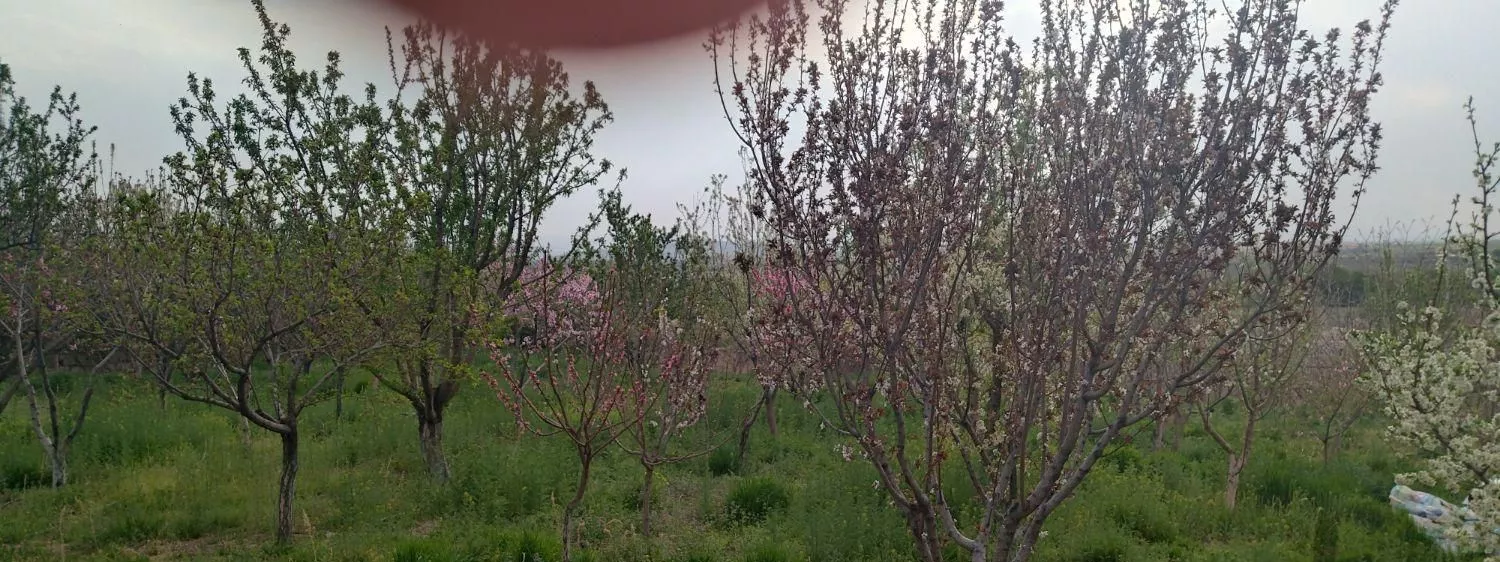 باغ ویلا ۲۱۰۰متر گلسار رشتقون قزوین