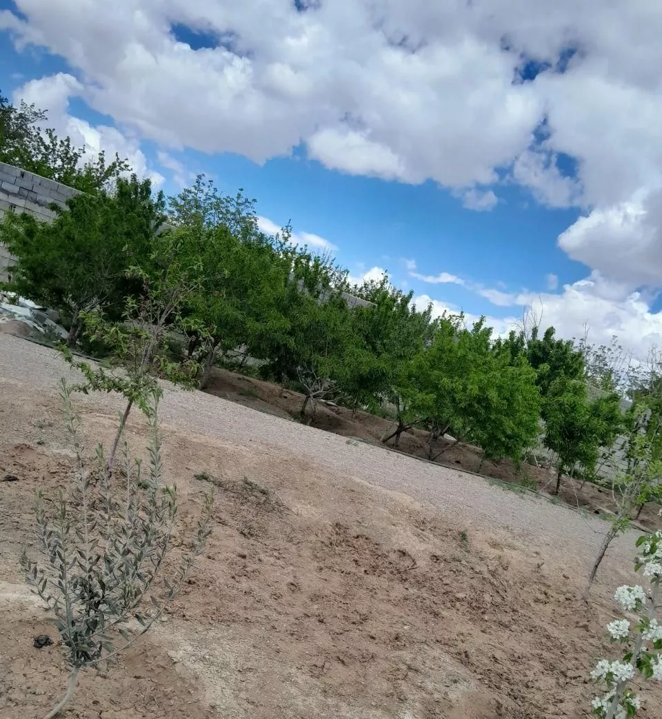 باغ میوه،1500 مترمربع،واقع در نجف اباد