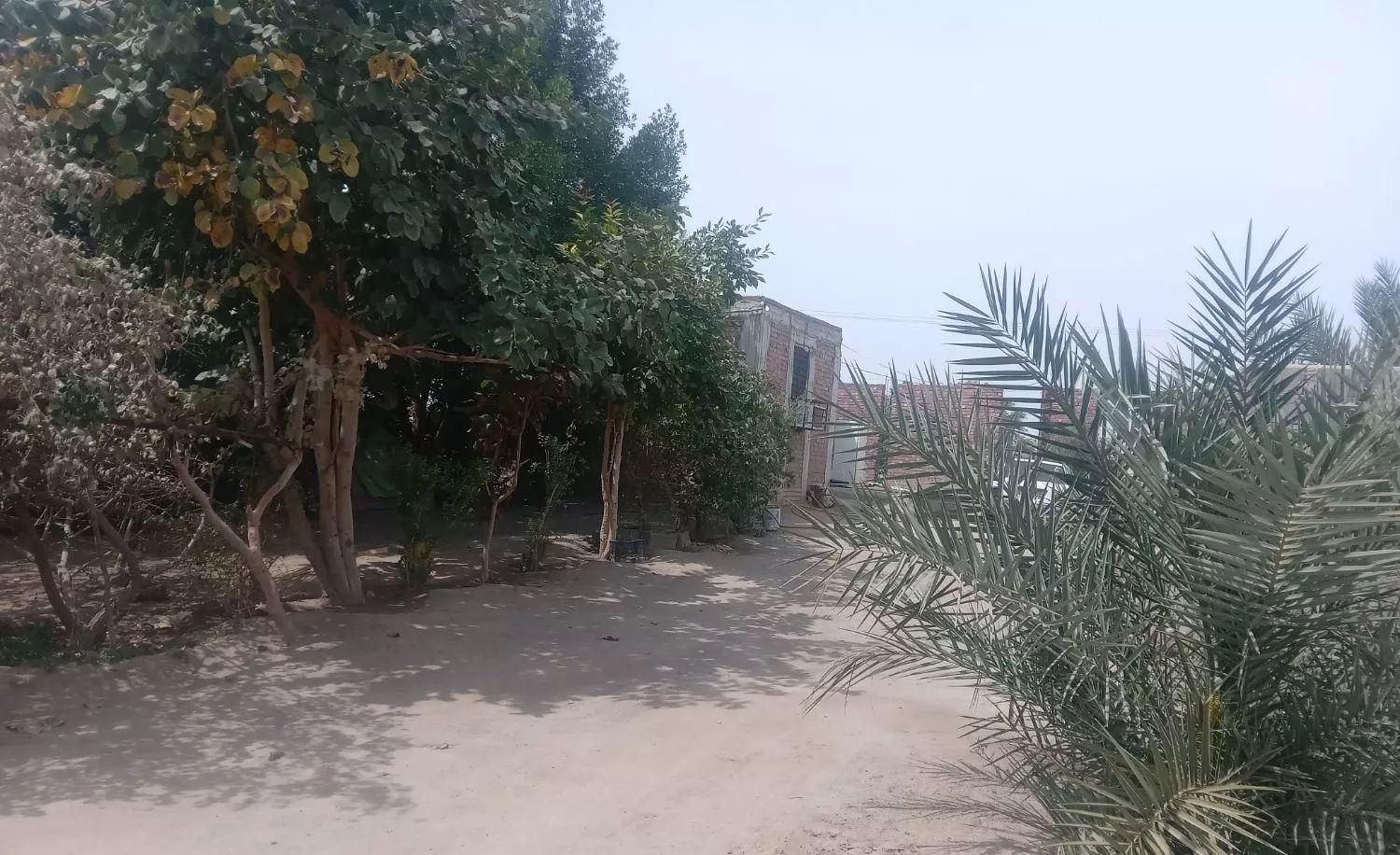 خانه ۴۰متری شنارژی در رودبار شهرک سلمانیه
