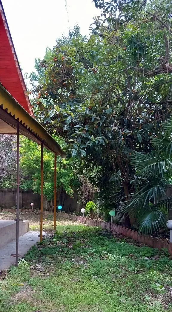 ویلا باغ بازسازی شده با سند تک برگ در شهرک اباتر
