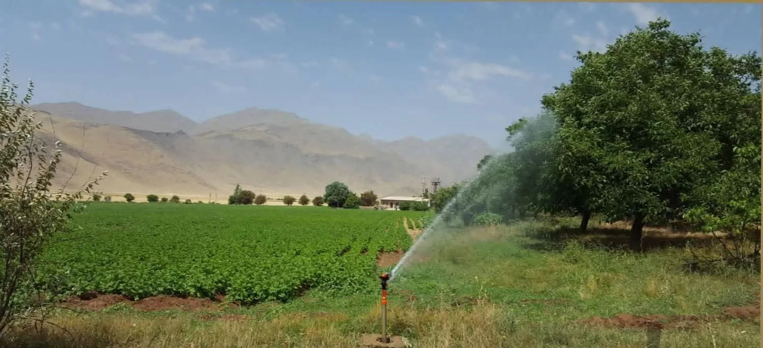 چاه آب و ۱۶ هکتار مزرعه کشاورزی شازند