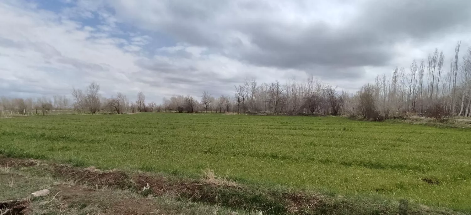 زمین کشاورزی مرغوب در سراب روستای داراب