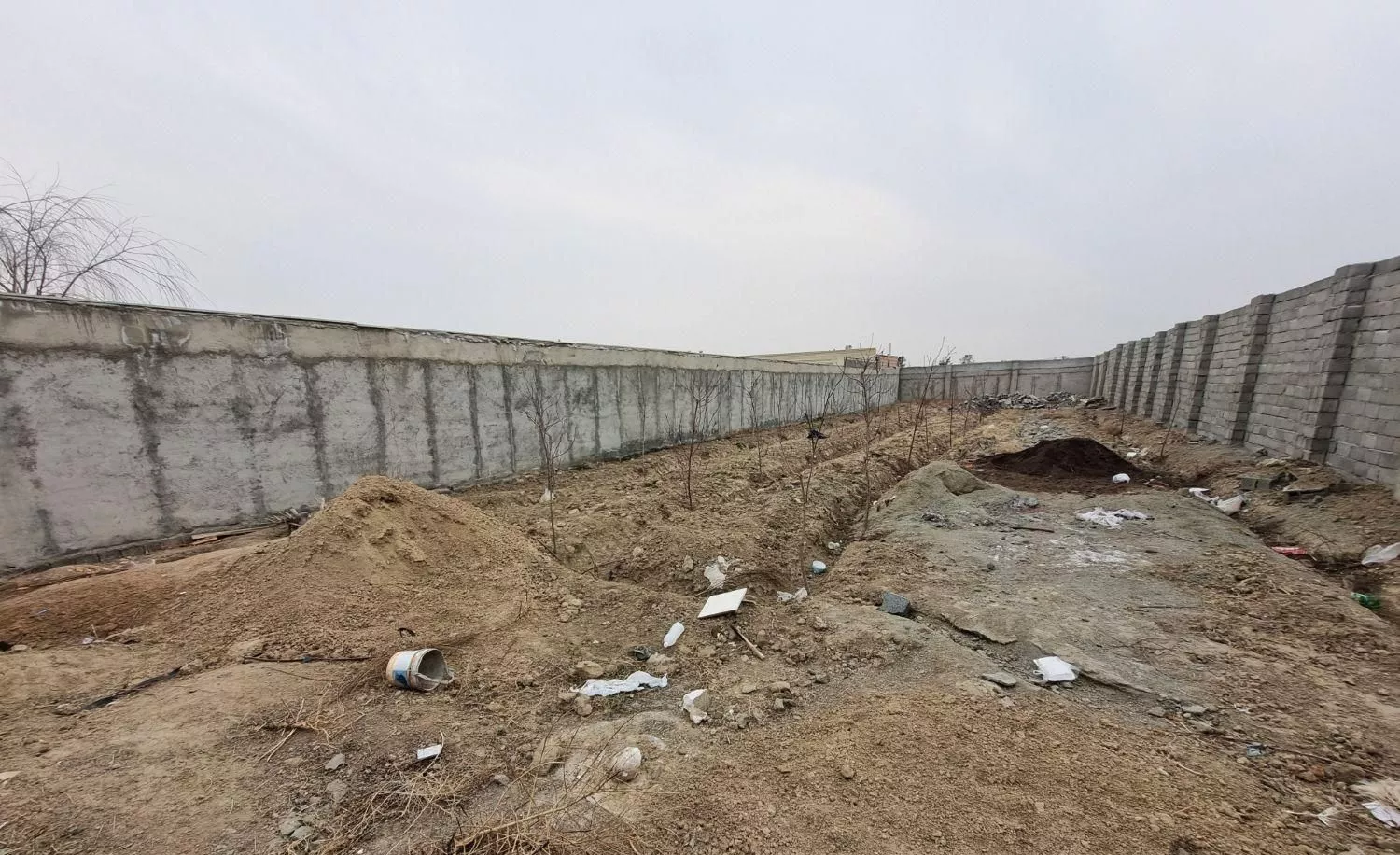 چهار دیواری با نهال سند تک برگ در صباشهر شهریار