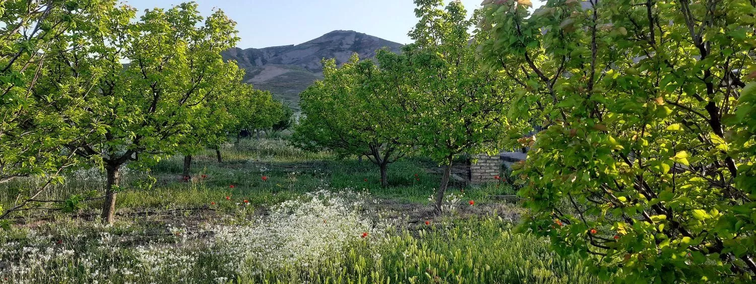 باغ با ویو رود ارس در منطقه آزاد ارس