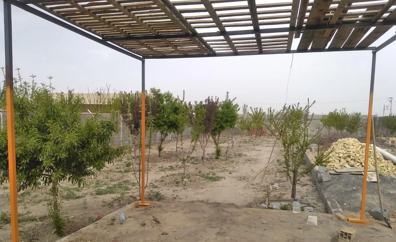 باغ در روستای علیشاهدان