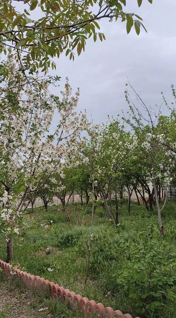 باغچه ی۷۶۵متری در روستای سرسبز اجین دوجین، کردان