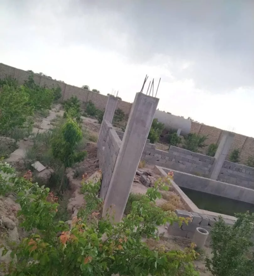 باغ سند تک برگ شهریار با مجوز جهاد