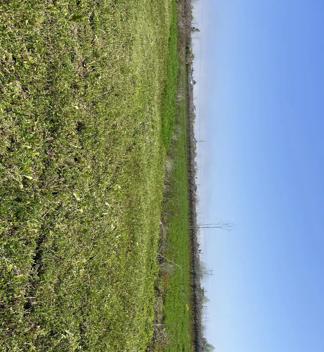 زمین زراعی ب متراژ ۱۰هزاررمتر در مازندران تنکابن