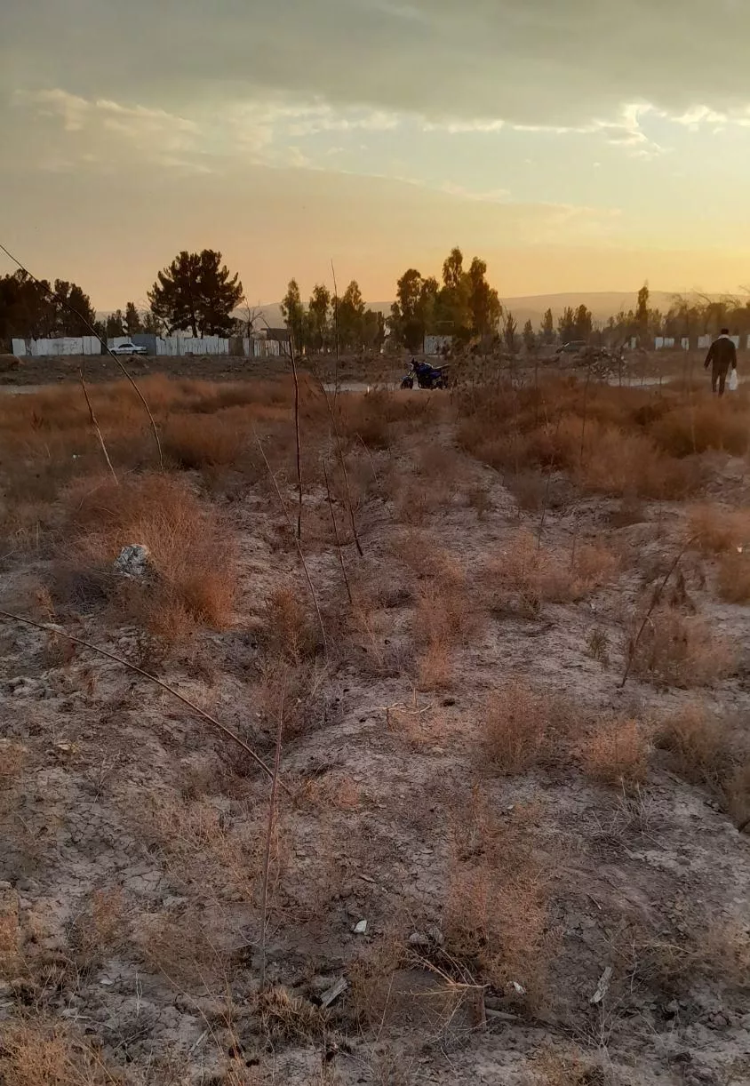 زمین باغچه ای در نزدیکی شهرری پشت باقرشهر
