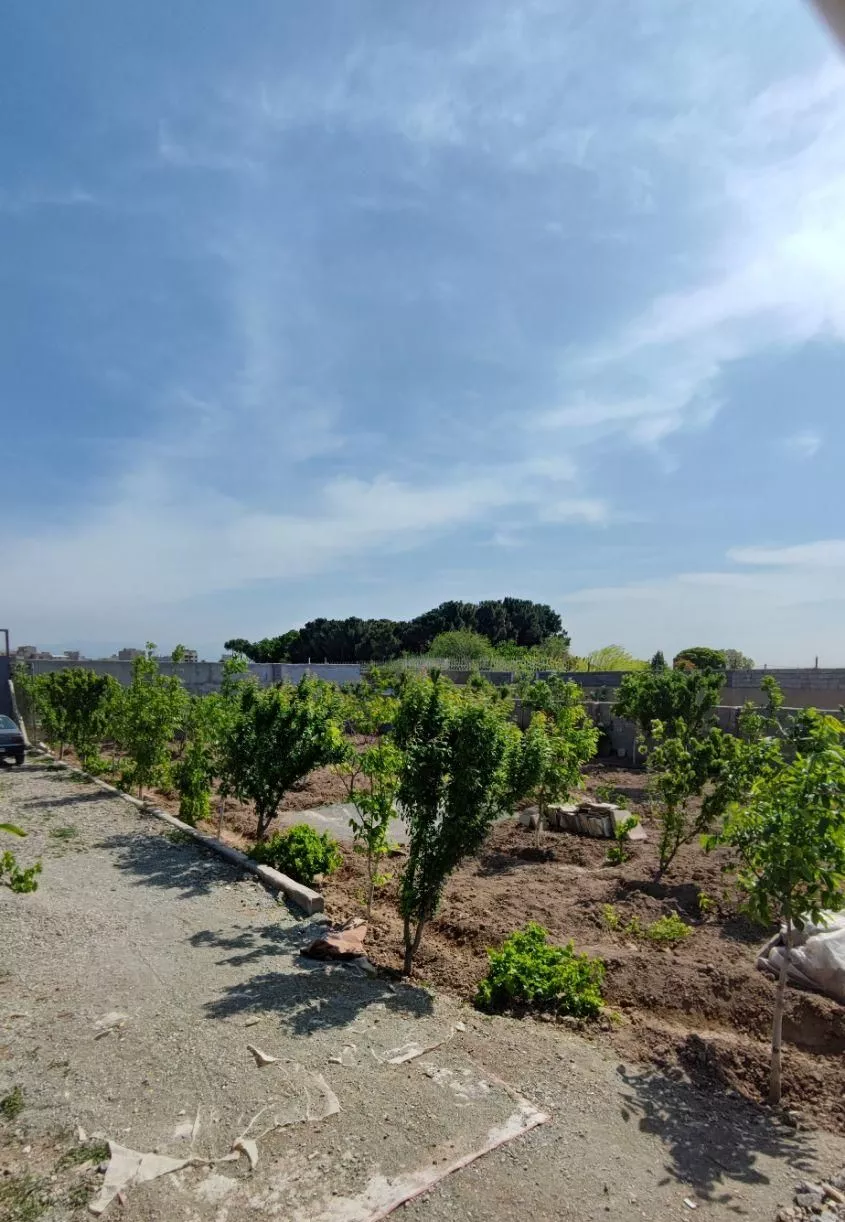 باغچه در بلوار حسین آباد