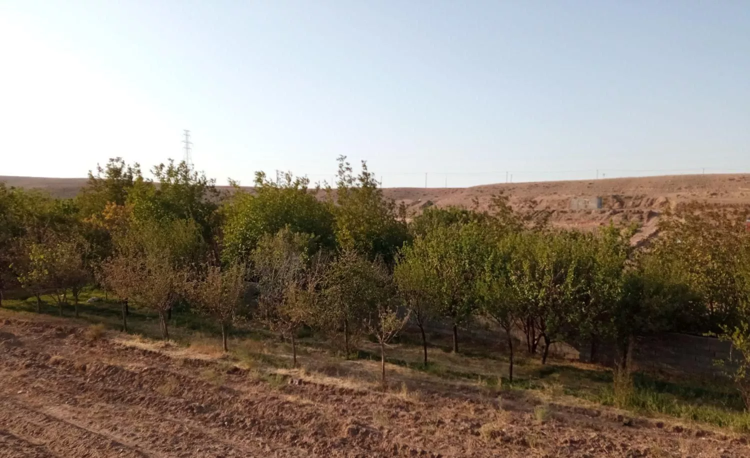 منطقه نارنجستان ملک اباد مشهد 500 متر زمین باغی