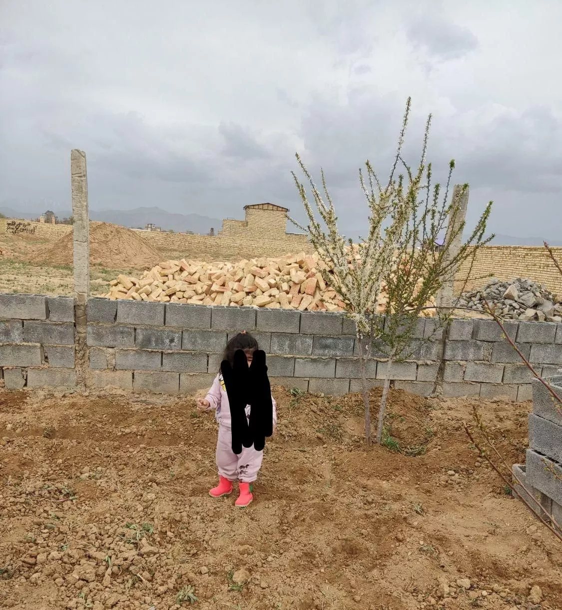 500زمین باغی چهار دیواری در آزاد مرز آباد