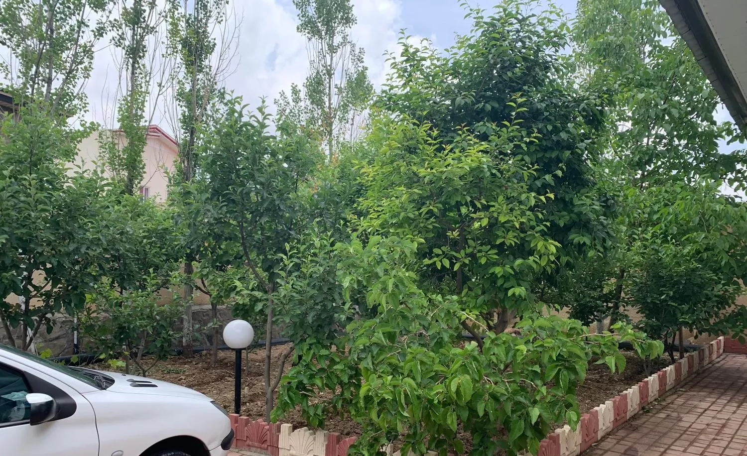 باغ ویلا با درختان مثمر،70 کیلومتری تهران