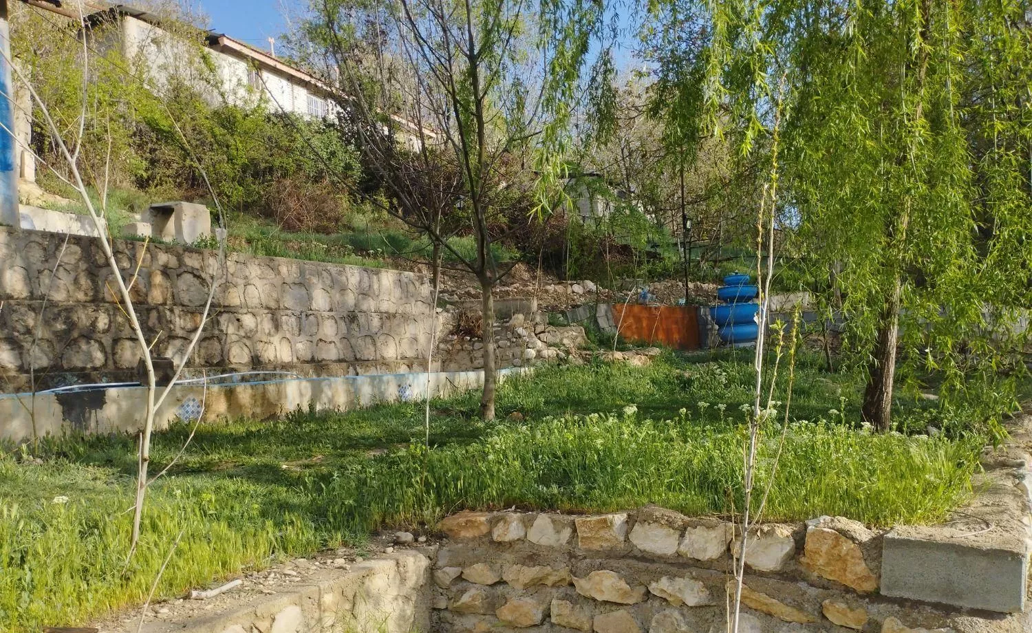 باغ گردوی  تفریحی واقعا در روستای  اردشیری
