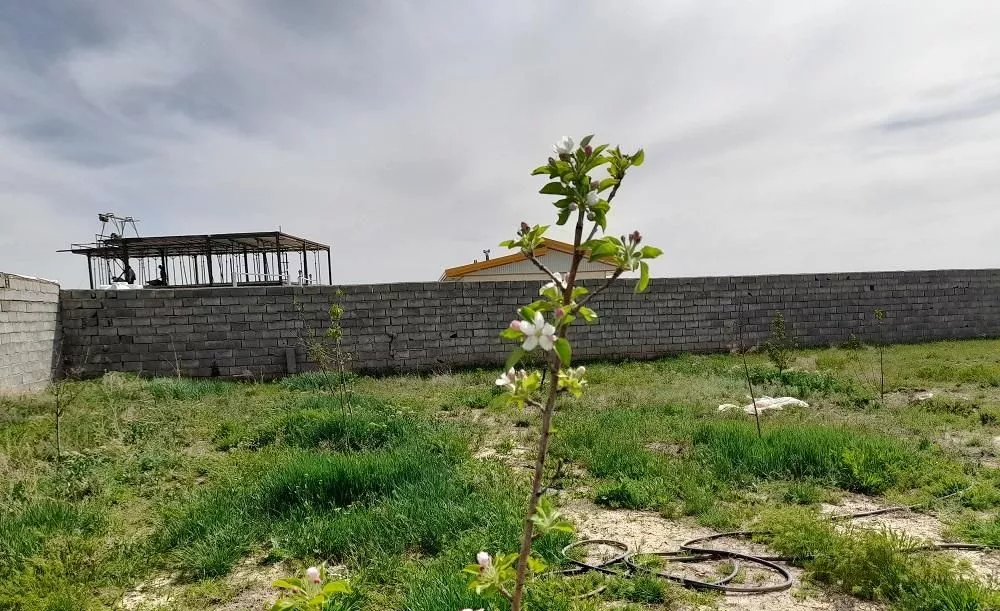 باغ ویلائی حصار شده در صوفیان کوی علی آباد
