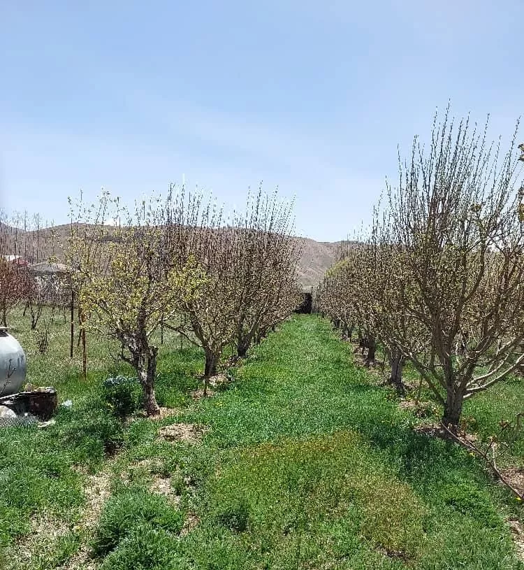 باغچه متراژ۳۴۵متر سند تکبرگ مشا واقع در فیروزکوه