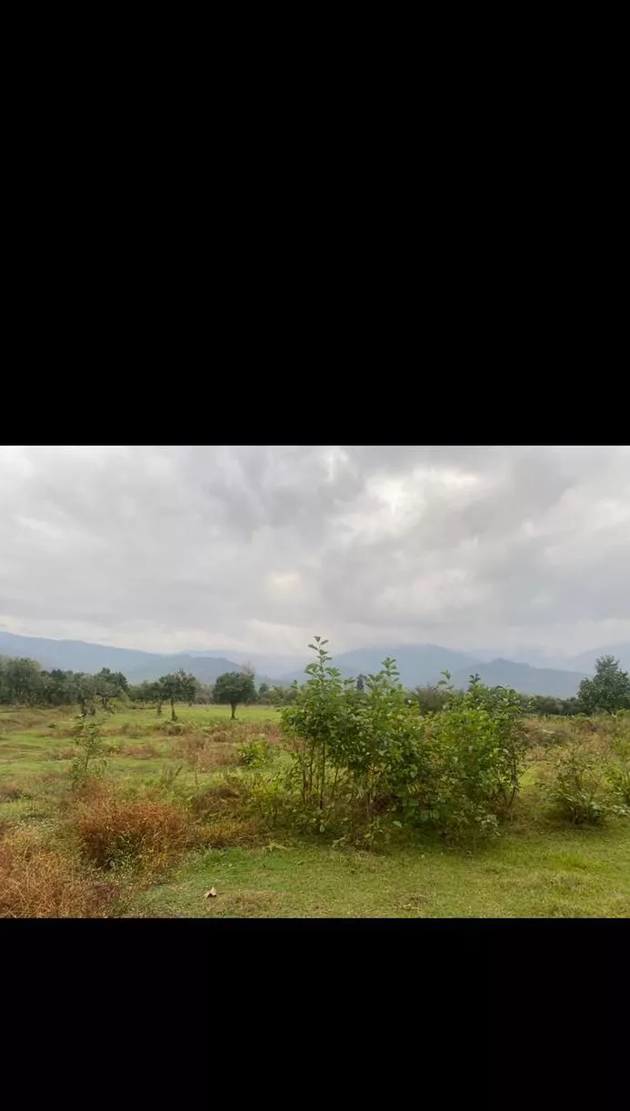 زمین ١٤٠٠٠ متر جنگلى کلارآباد