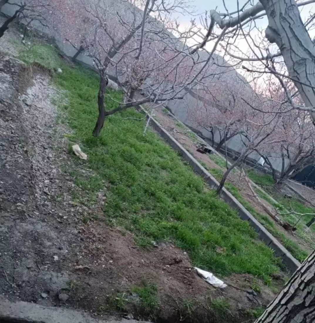 باغ ویلایی کاملا حصار در اسکو
