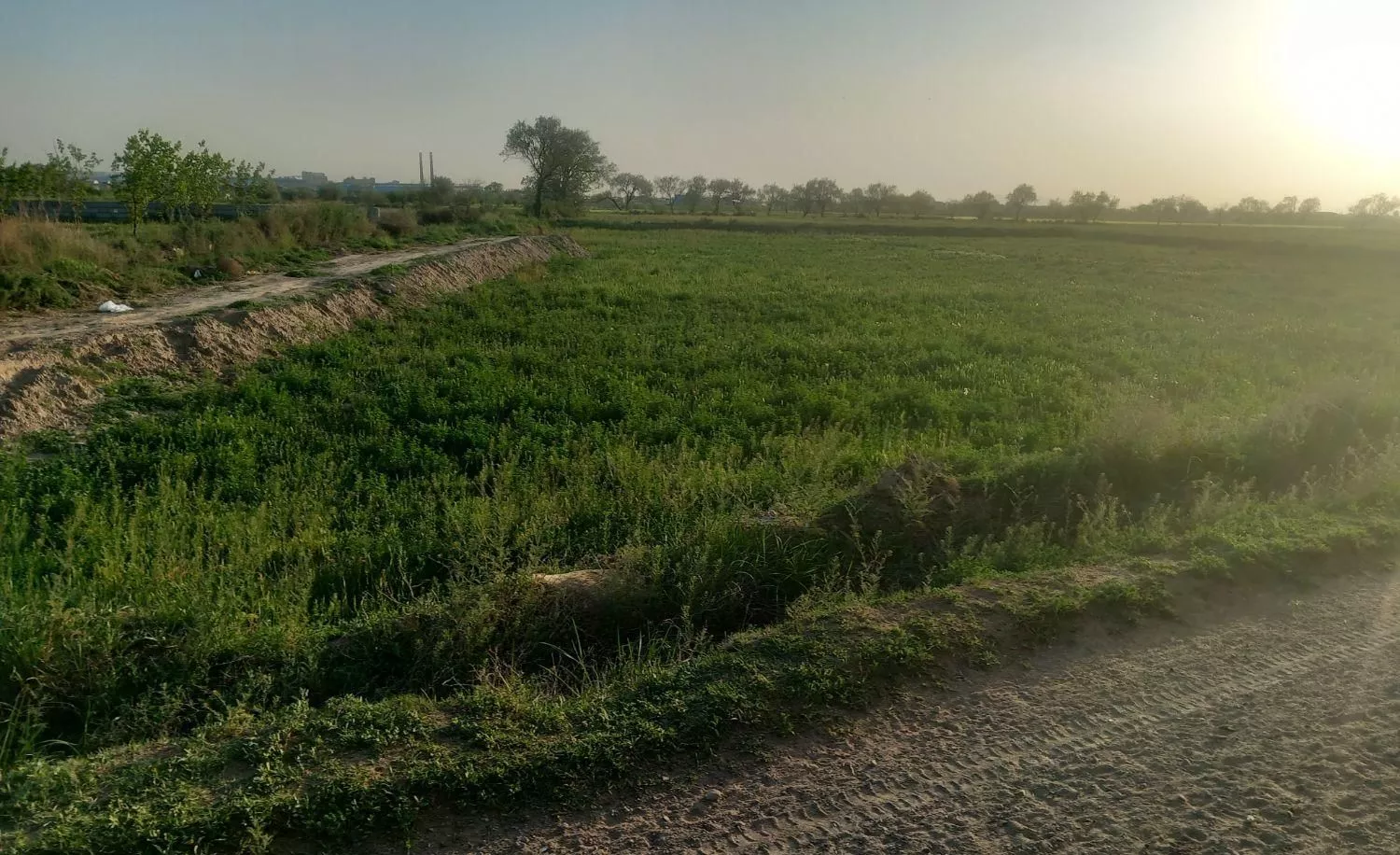 زمین کشاورزی برای ساخت ویلا درلاهیجان پشت شهرک غرب