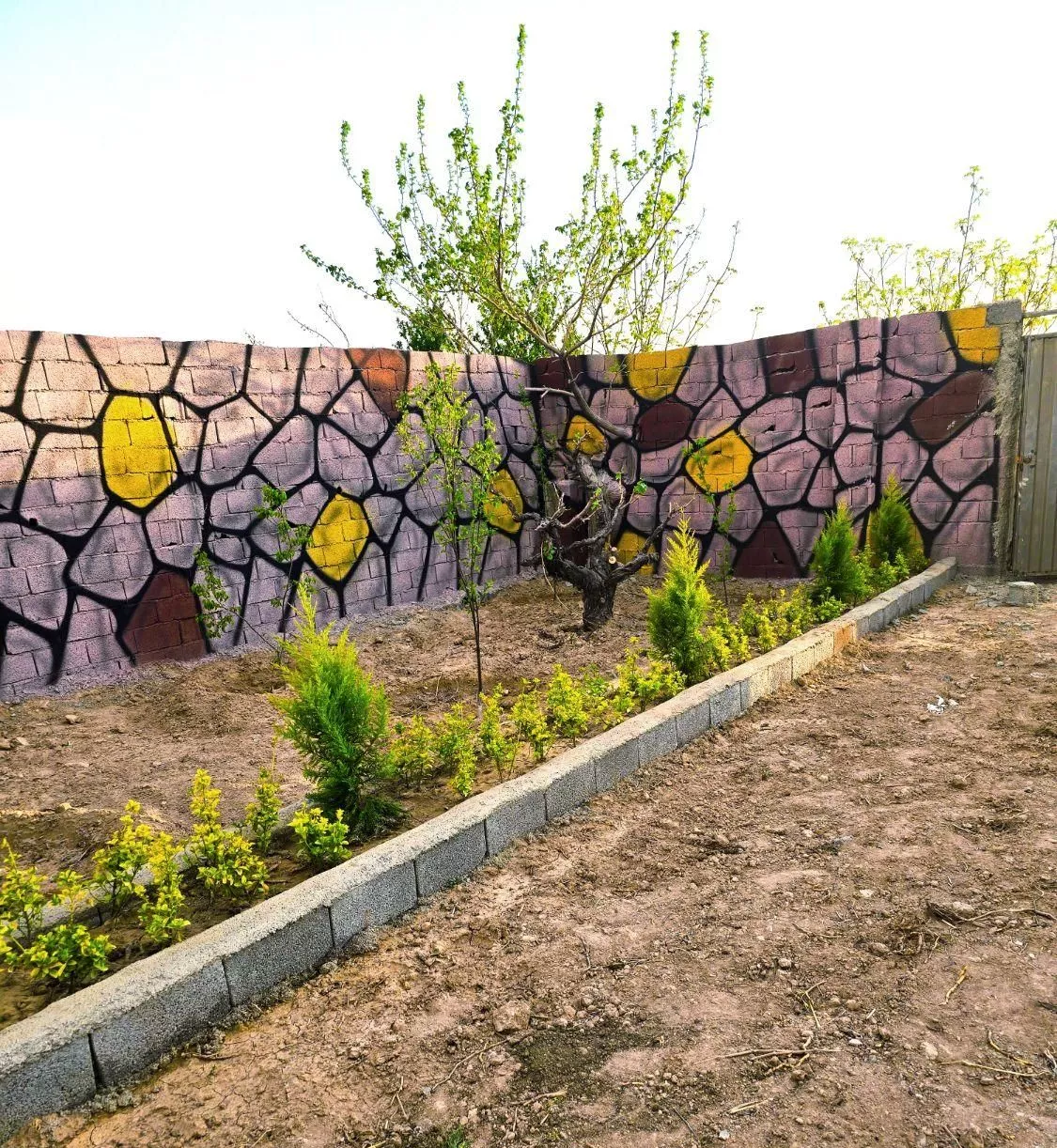 باغ و باغچه ۳۱۰ متری.دیوار به دیوار ساخته شده.کهن