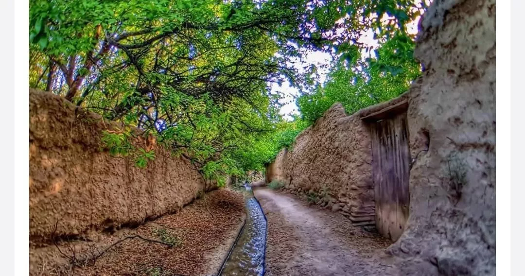 باغ سرسبز وآبادوآباد در روستای صح