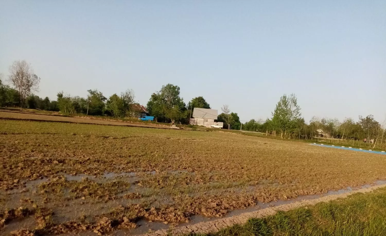 زمین زراعی بر جاده یک تکه.