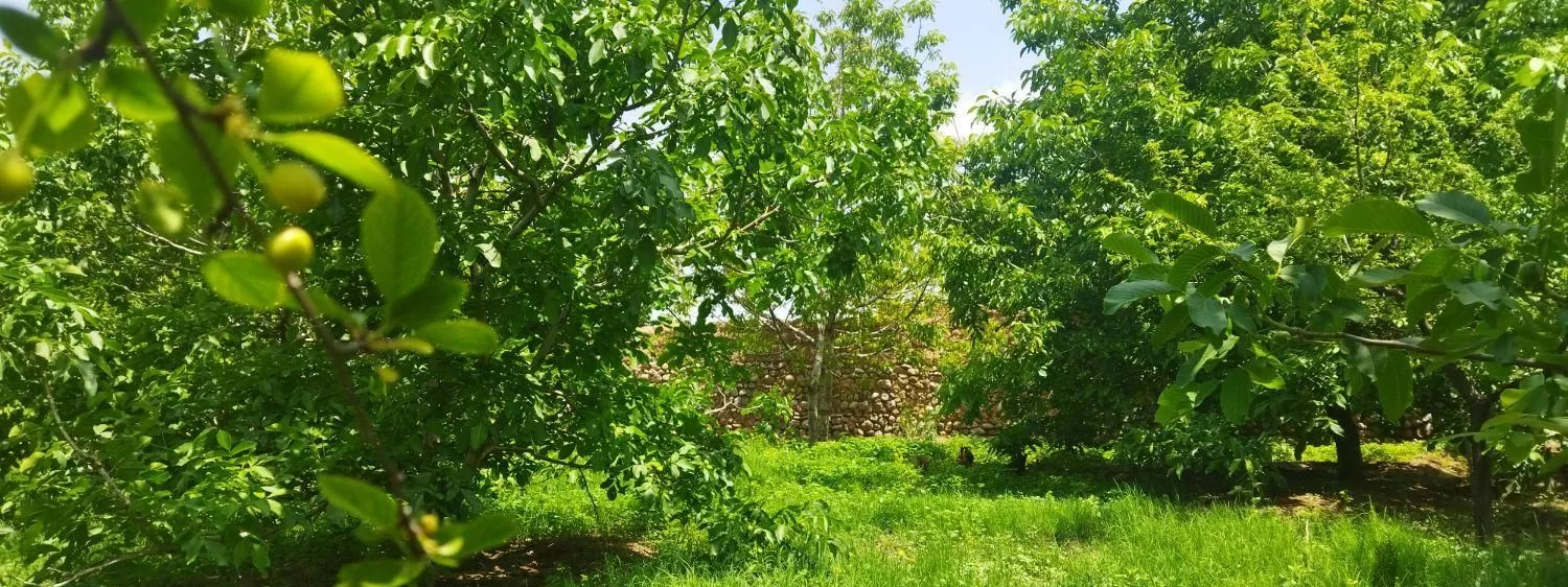باغ به متراژ 2200 درشهرستان شوط روستای کندال