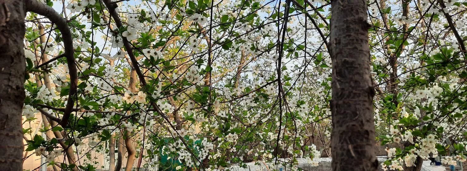 باغ ویلا واقع در منجیل آباد شهریار