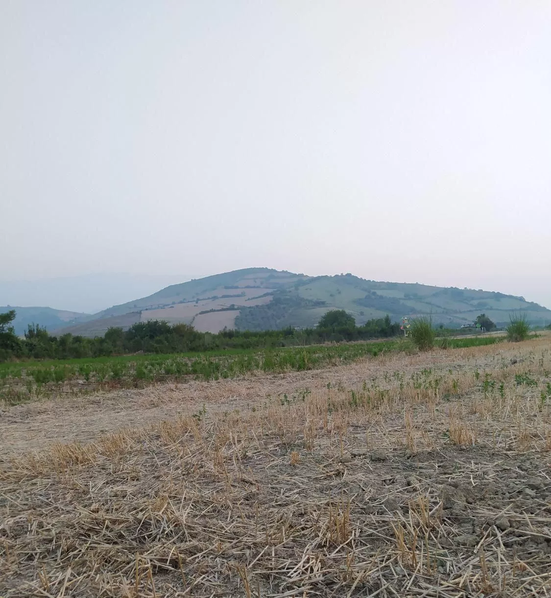 زمین باغی کشاورزی روستا سید میران