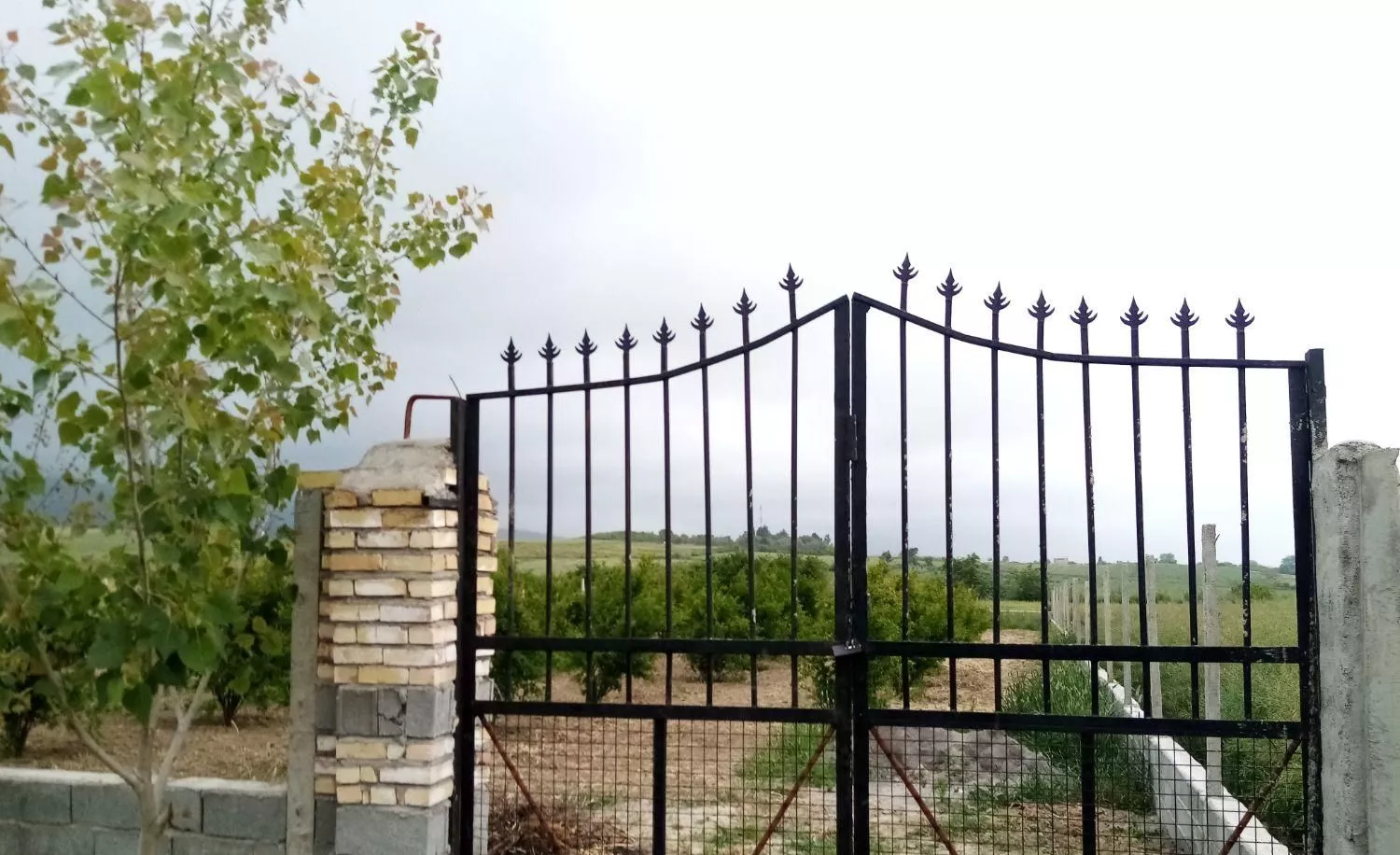 هزار متر زمین باغی در روستای سرکلاته گرگان